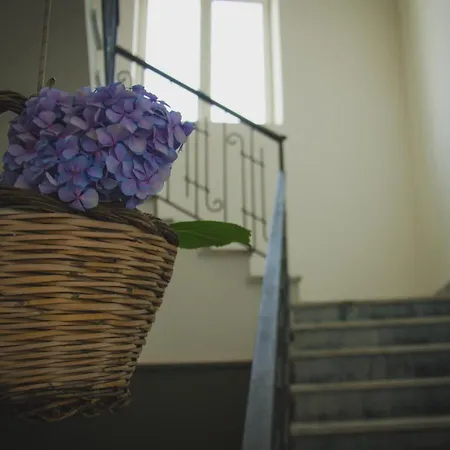 Lepanto B&B Bed & Breakfast Pompei