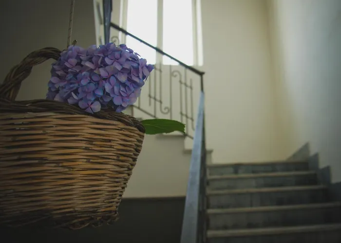 Lepanto B&B Bed & Breakfast Pompei